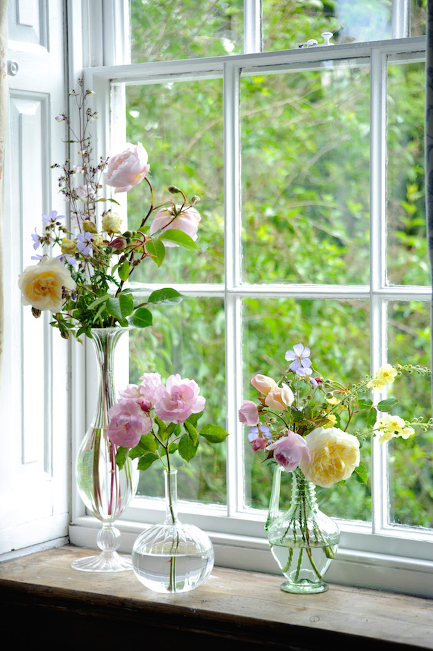 three vases in a window with The Generous Gardener, Scarborough Fair, Teasing Georgia