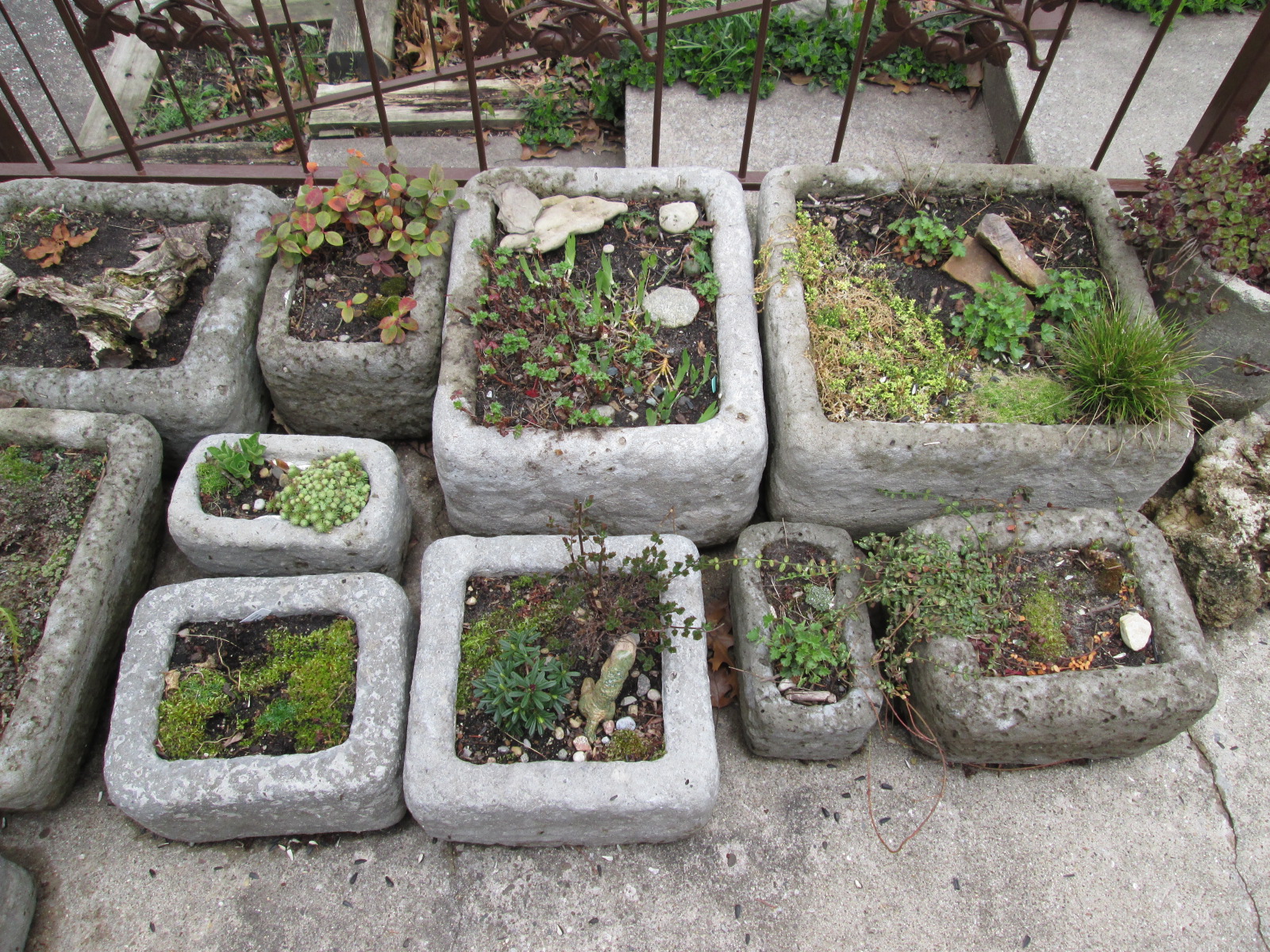  collection of hypertufa containers with plants