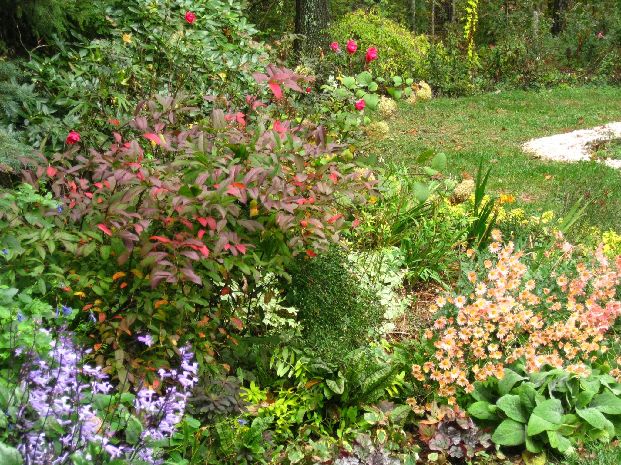 Nancy's garden makeover in Maryland - Fine Gardening