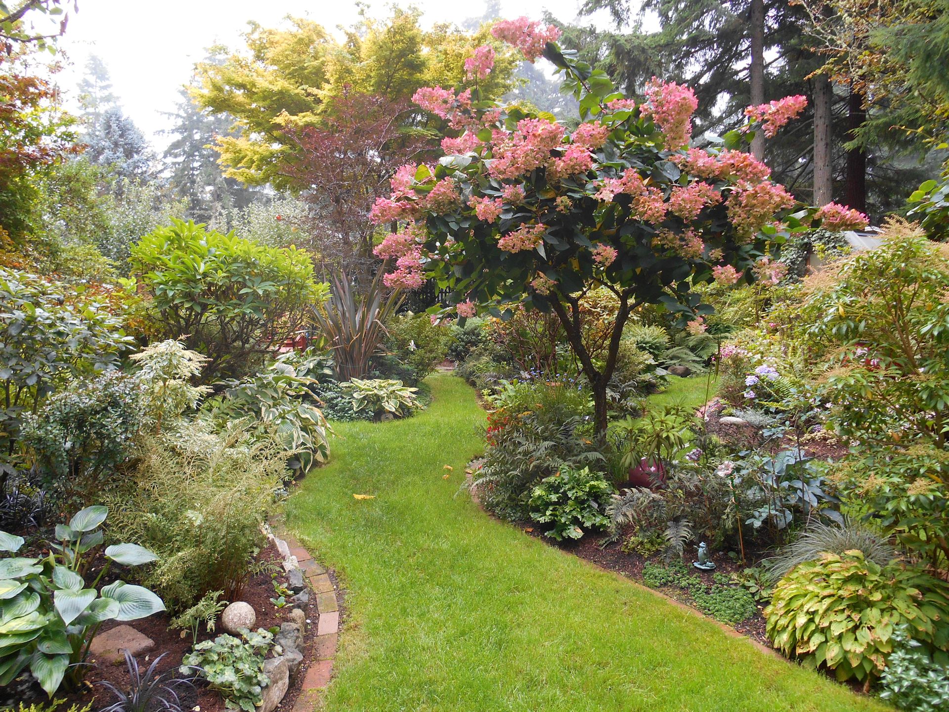 Fall in Lindas garden on Bainbridge Island - FineGardening