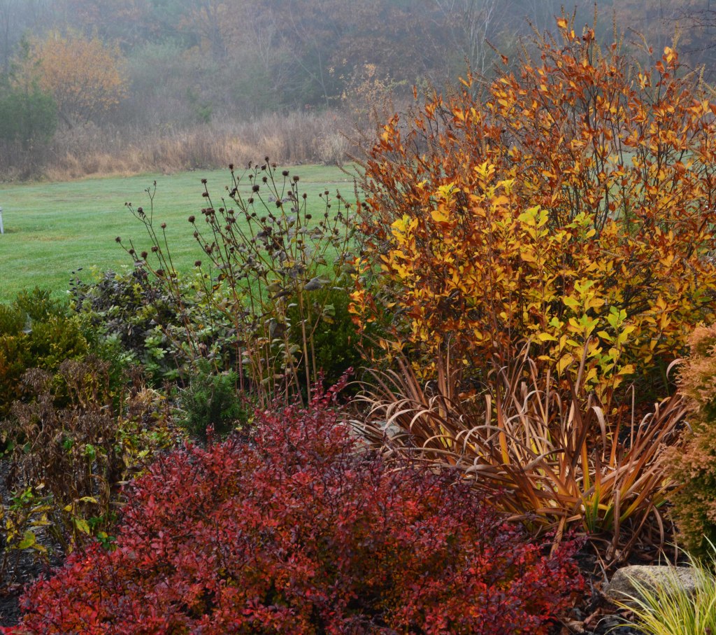 Beautiful Grasses in John's New Jersey Garden - Fine Gardening