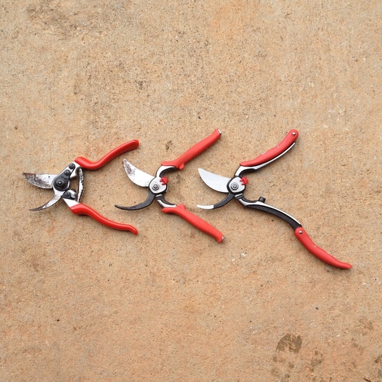 Essential Tools for Pruning - FineGardening