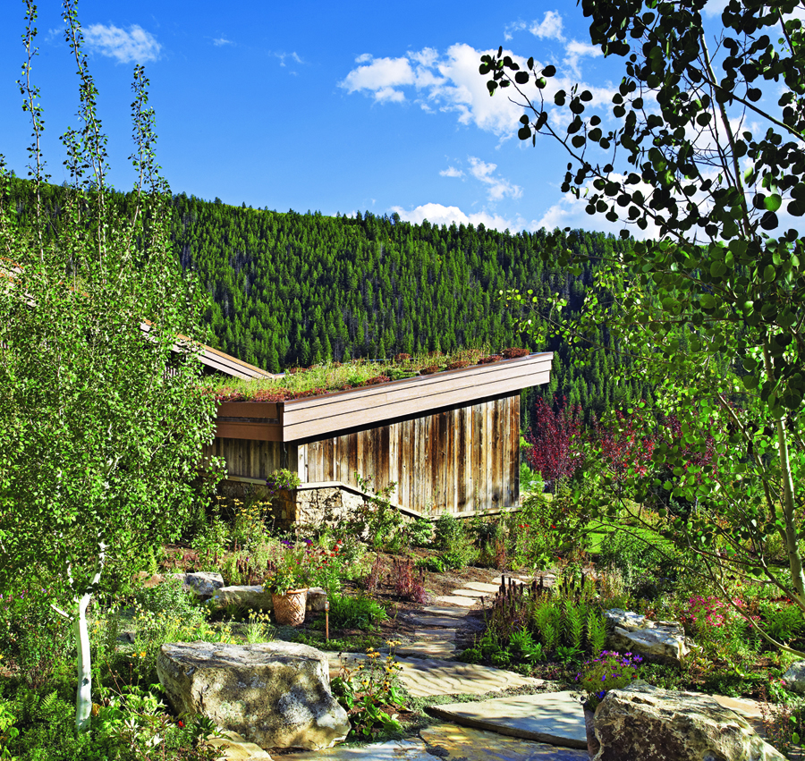 plantings on a roof