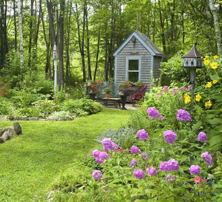 a shed surrounded by beautiful plants 