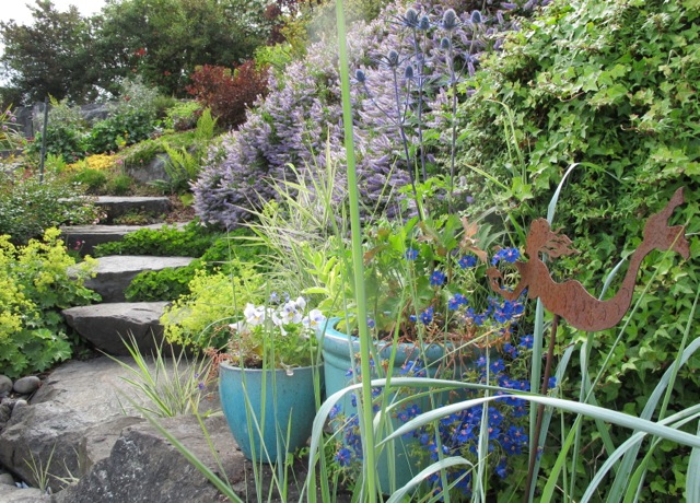 Some plants in pots, other shrubs on the side of a stone step walkway