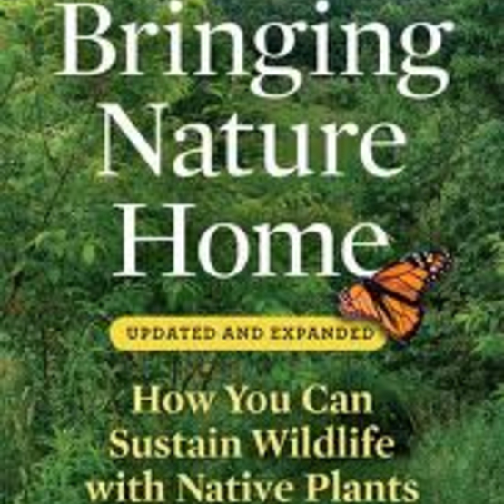 Doug Tallamy’s book, Bringing Nature Home (Timber Press, 2007), which makes a compelling case for gardeners everywhere to include native plants in their home landscapes. 