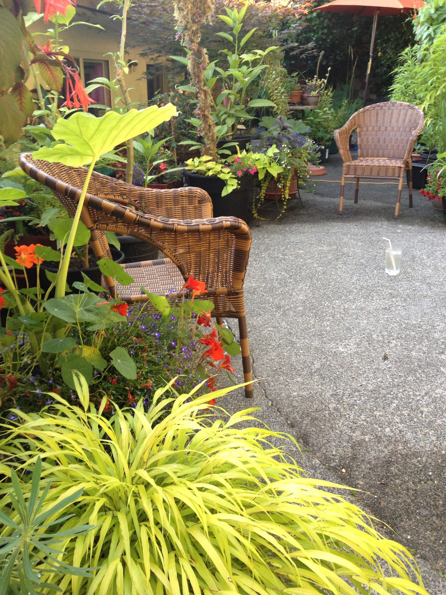 Michele s garden in British Columbia FineGardening