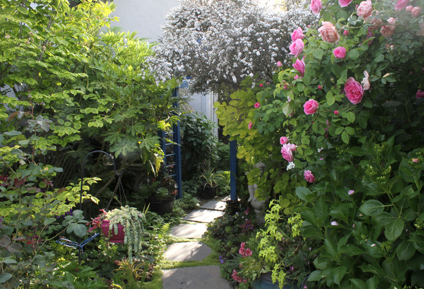 Ann's garden in California - Fine Gardening