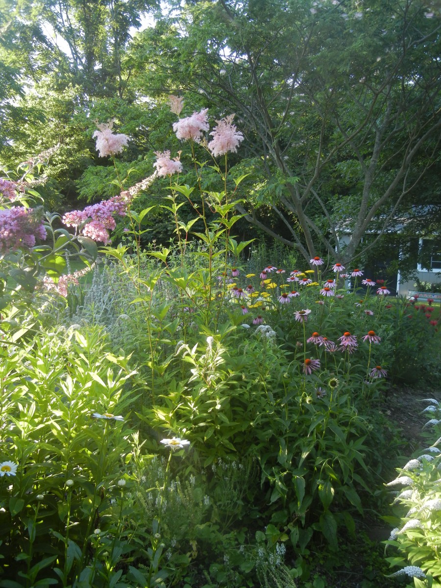 Becky's garden in Pennsylvania - Fine Gardening