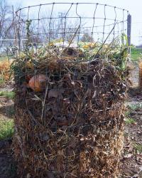 a version of compost pile