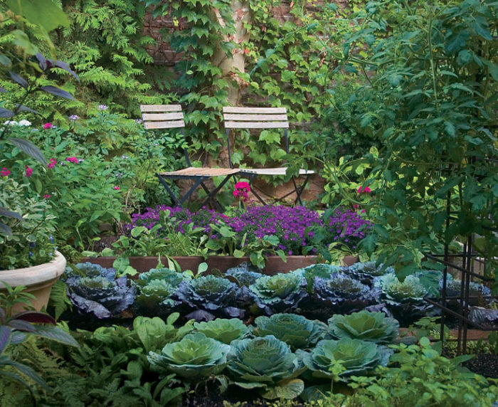 vegetables in a kitchen garden