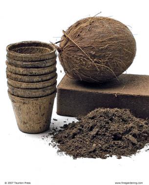 Learn How to Use Coconut Coir Products in the Garden