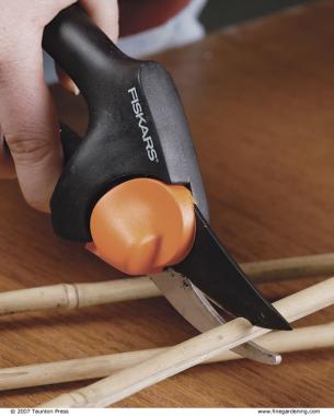 close up of hand using pruners to cut bamboo