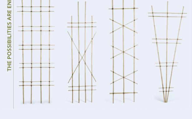 Four visual options of trellises