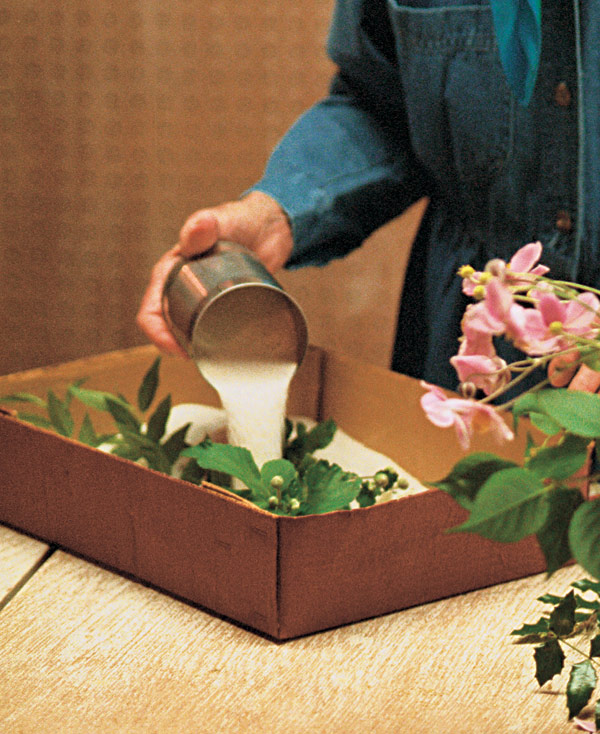 Woman pouring sand from a soup can into the box with the flower