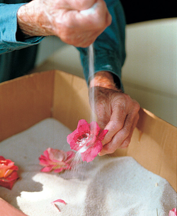 Woman cleaning the dried flower with a stream of sand.