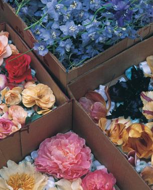 Boxes with a colorful collection of dried tulips, roses, peonies, and delphiniums