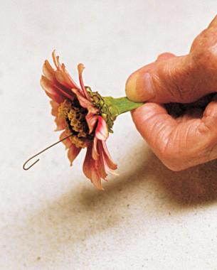 close up of hand holding flower with florist wire