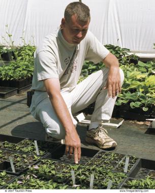 The author inspects his seedlings for anything out of the ordinary.