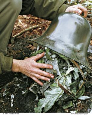 The author folds the leaves of a tall cardoon and tucks the plant under a bell-shaped glass cloche.