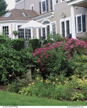 A planting of vivid magenta blooms, with yellow and chartreuse accents, provides the right amount of contrast for a beige house.