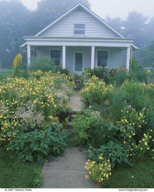 The soft yellow of the evening primroses enhances a white house, and the white snow daisies link it to the landscape.