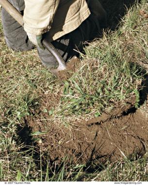 Lift off the vegetation with a flat-bladed shovel.