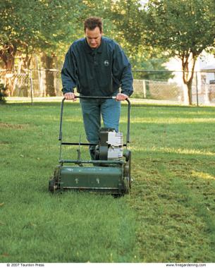 de-thatching lawn