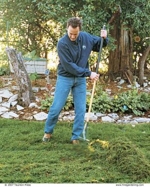 raking after thatching