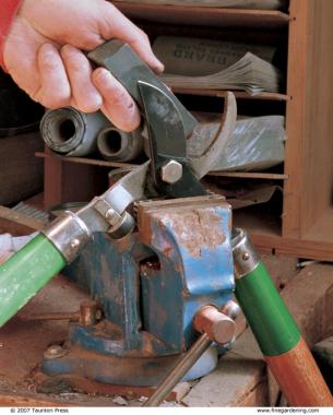 How to Sharpen and Restore Your Gardening Tools