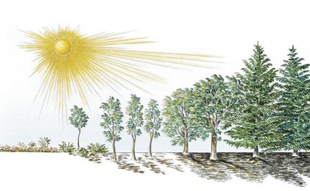 Distinguishing Degrees of Light and Shade