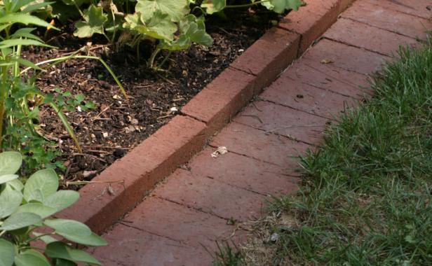 Brick edging next to greenery