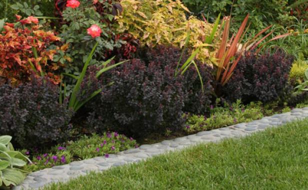 Concrete edging next to colorful flowers