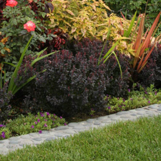 Concrete edging next to colorful flowers