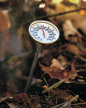 A compost thermometer in a hot compost pile