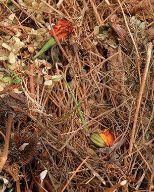 A cold compost pile