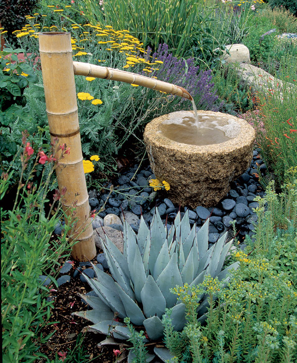 mescal paired with airy plants and a water feature