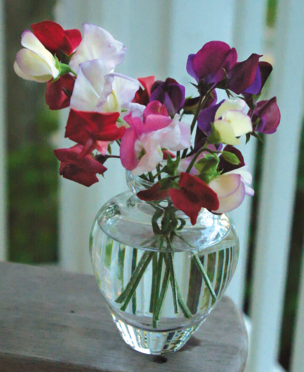 Flowers in a flower vase