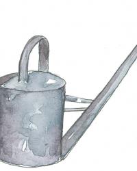 steel watering can