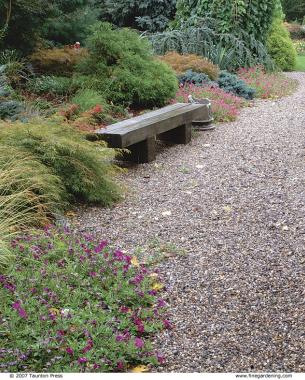 gravel path near a bench and plantings