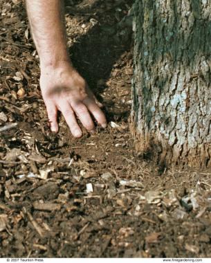 What is Pine Bark Mulch and What are its Benefits