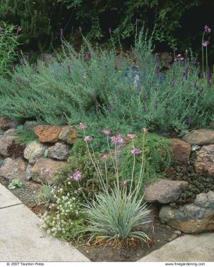 plants in crevices softening the appearance of the stones