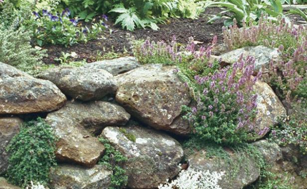 Retaining wall filled with fragrant herbs like rosemary and thyme.