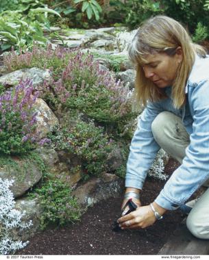 woman tending to soil in front of wall