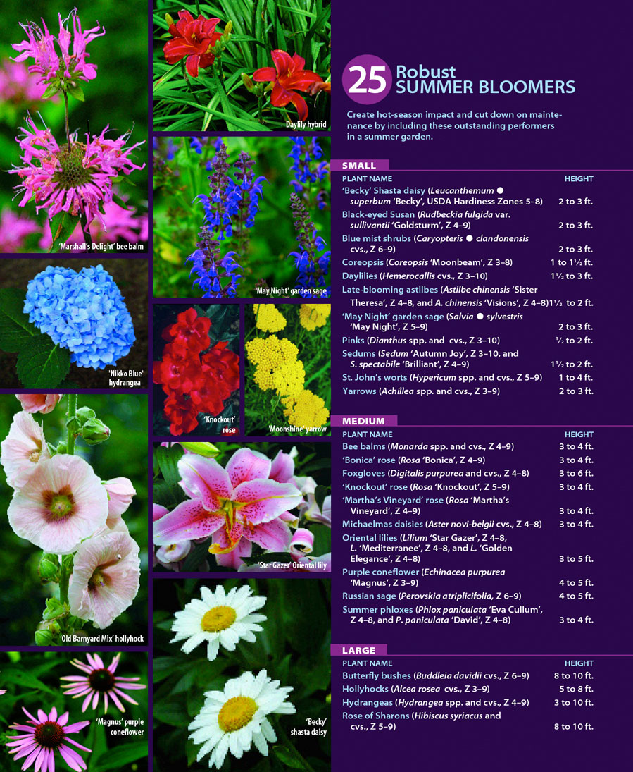 25 Flowers names, Flower names list with Pictures