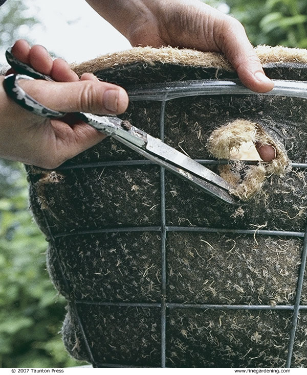 Mark the liner for side-planting of short-trailing plants.