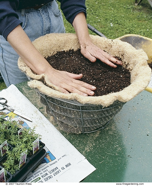 Prepare 20 quarts of hanging-basket soil mix and moisten it with 4 quarts of water. 