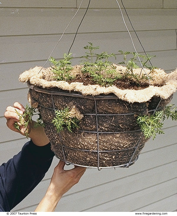 Attach hangers to the rim and hang the basket outside any time after your region's frost-free date.