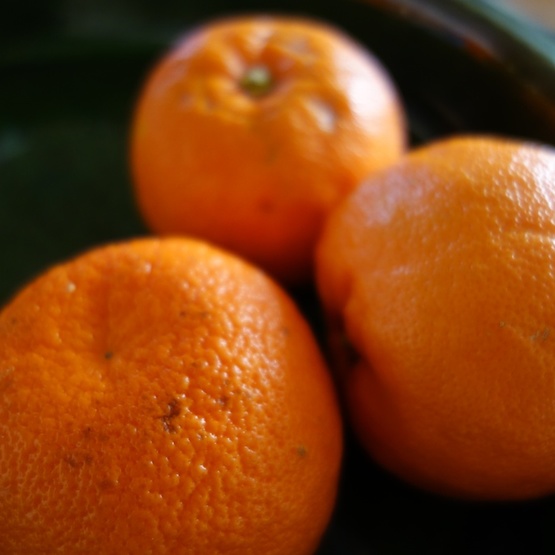 Seville Oranges