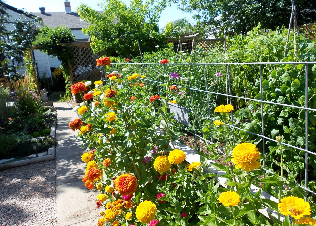 Darlene's garden in South Dakota - Fine Gardening